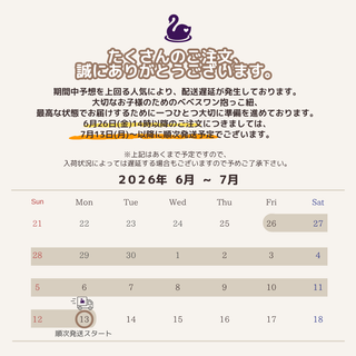 bebeswan ベスト型ベビーキャリア Eternity【7/22(水)〜順次発送予定】